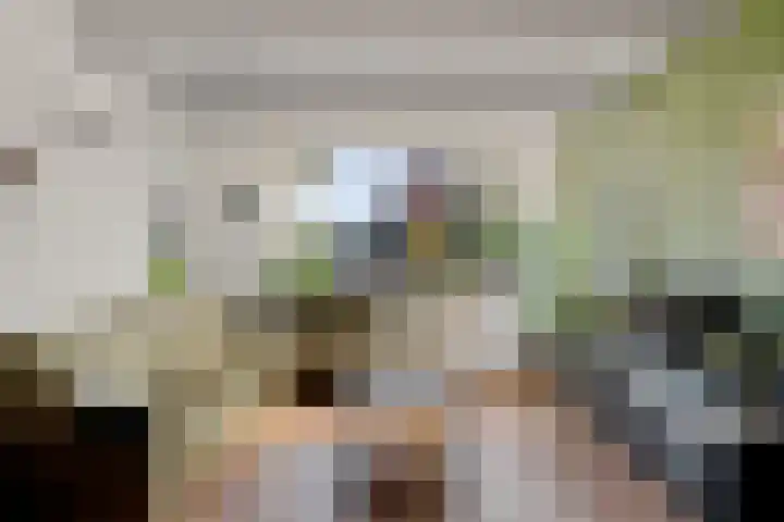 Loksleane 2 Wijnjewoude thumbnail 18