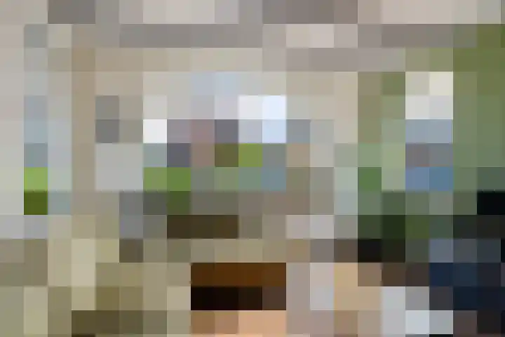 Loksleane 2 Wijnjewoude thumbnail 19