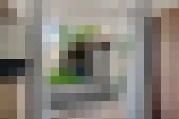 Loksleane 2 Wijnjewoude thumbnail 23