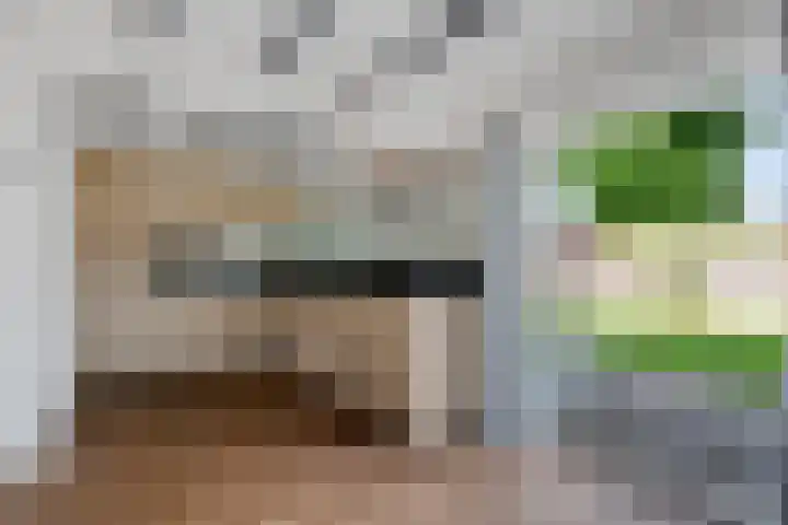 Loksleane 2 Wijnjewoude thumbnail 24