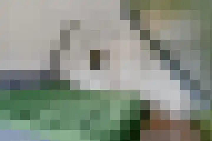 Loksleane 2 Wijnjewoude thumbnail 27