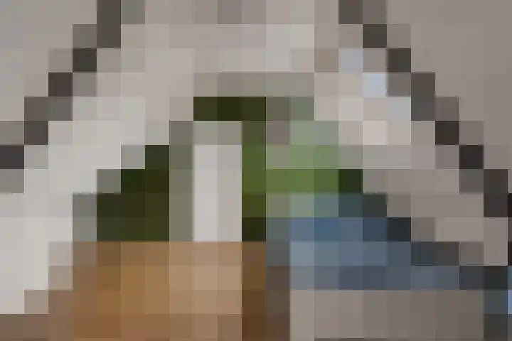Loksleane 2 Wijnjewoude thumbnail 28