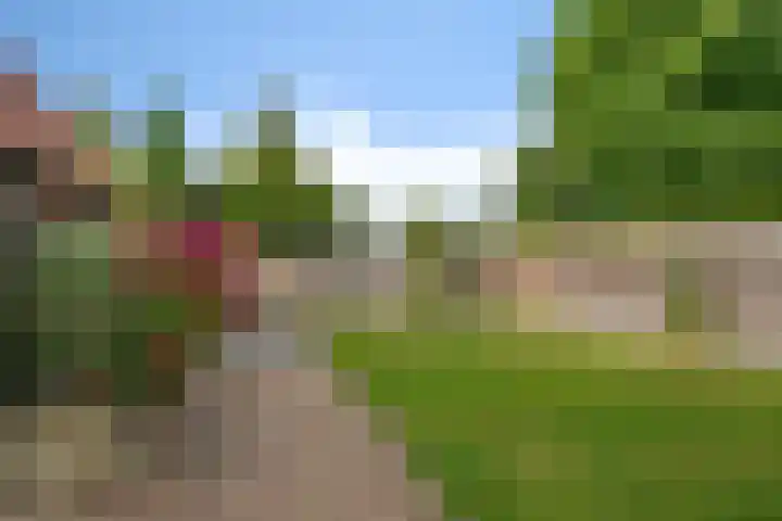Loksleane 2 Wijnjewoude thumbnail 32
