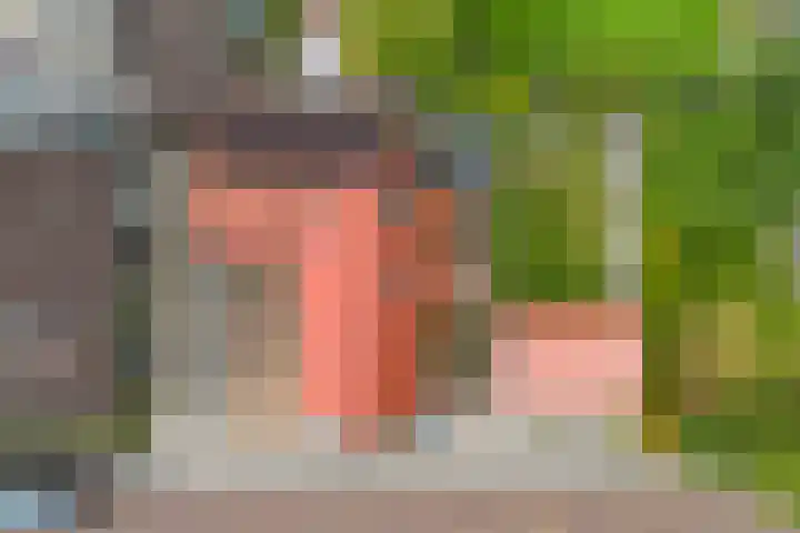 Loksleane 2 Wijnjewoude thumbnail 37