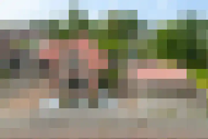 Loksleane 2 Wijnjewoude thumbnail 43