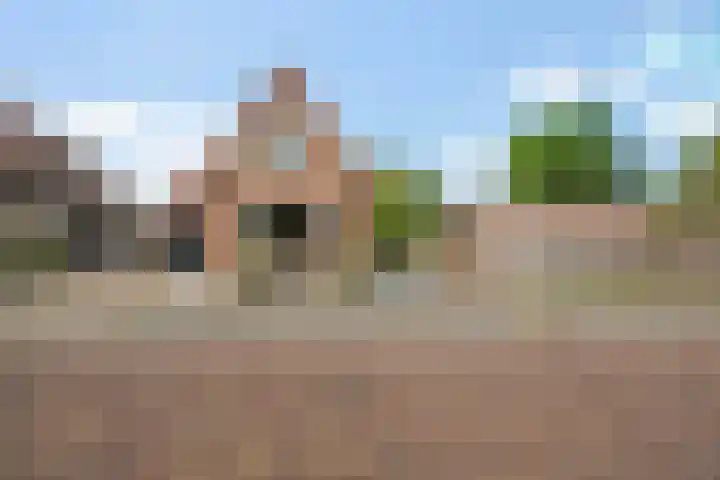 Loksleane 2 Wijnjewoude thumbnail 6