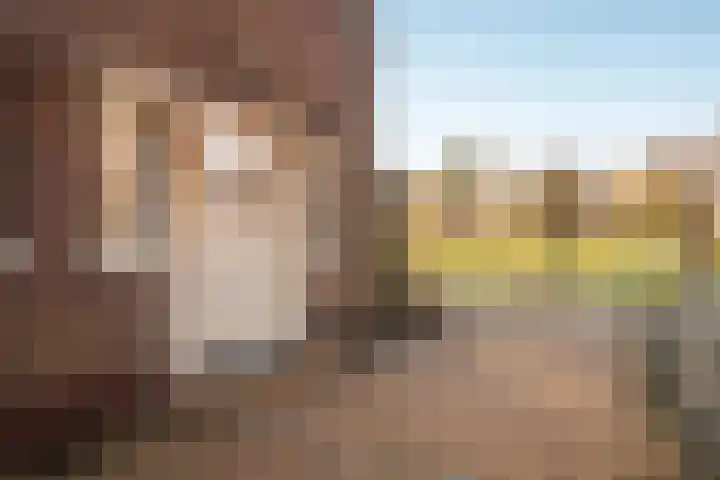 Lokveenweg 19 Haren Gn thumbnail 10
