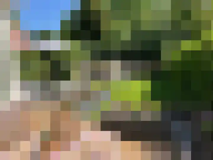 Lokveenweg 19 Haren Gn thumbnail 4
