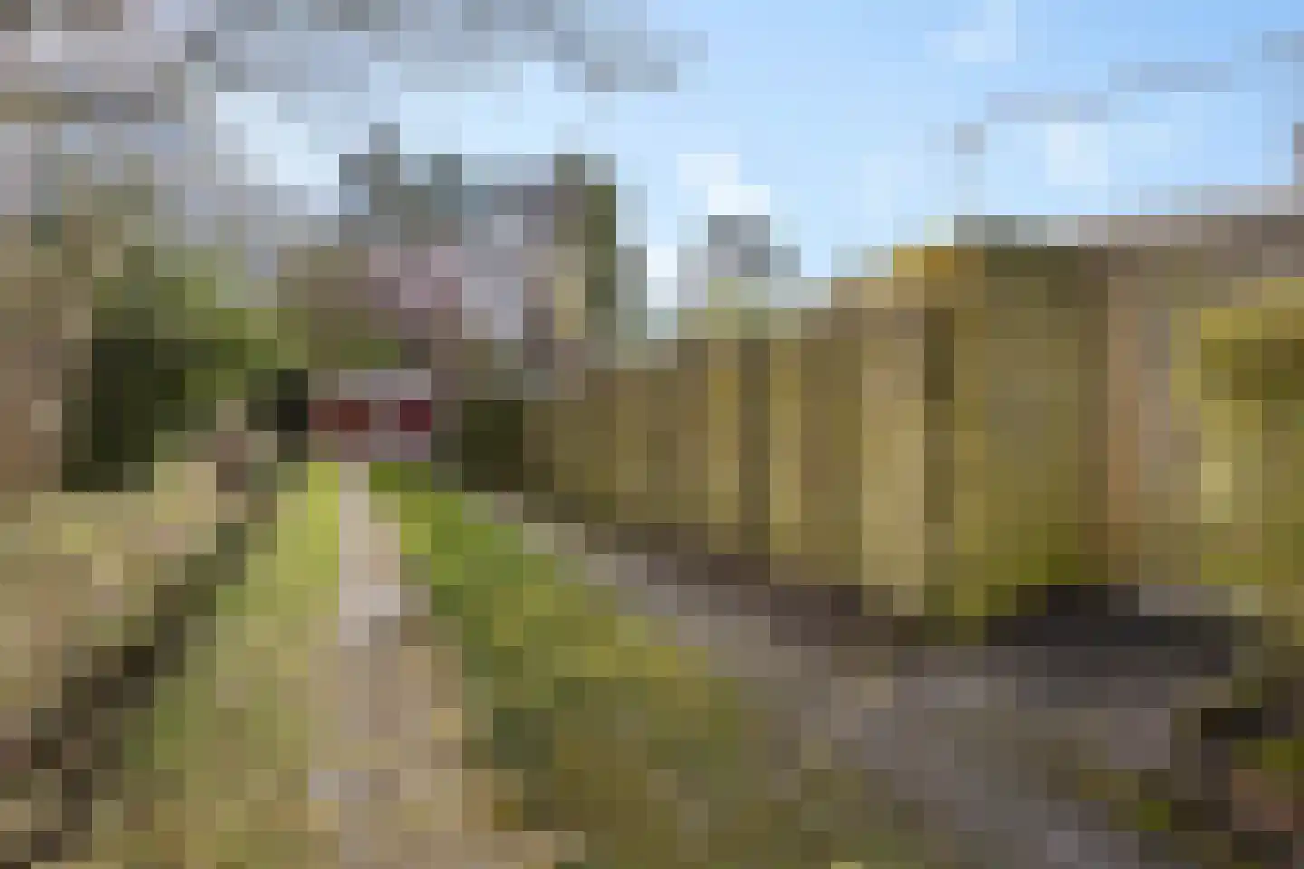 Lokveenweg 31 Haren Gn thumbnail 35