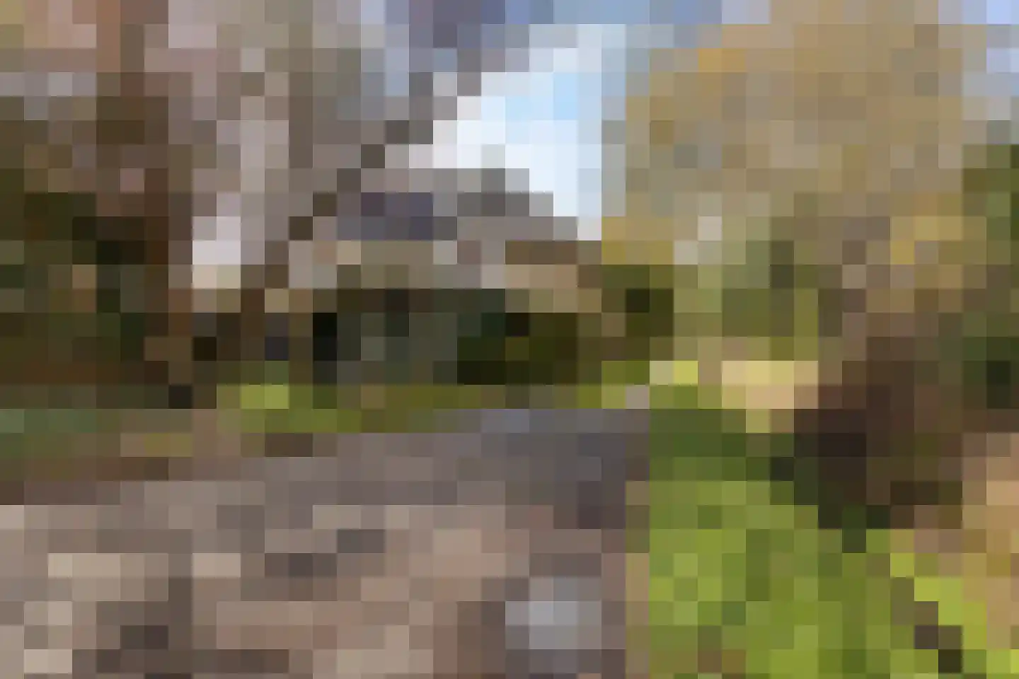 Lokveenweg 31 Haren Gn thumbnail 37