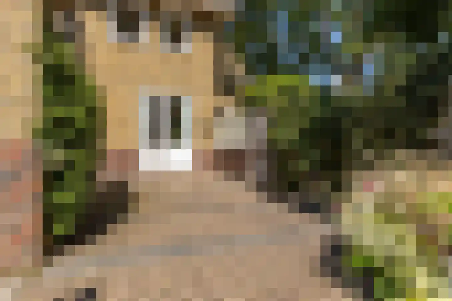 Lokveenweg 31 Haren Gn thumbnail 37