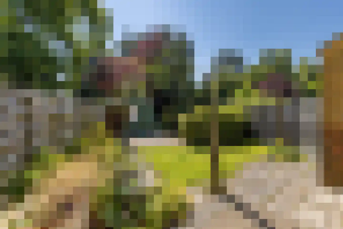 Lokveenweg 31 Haren Gn thumbnail 39