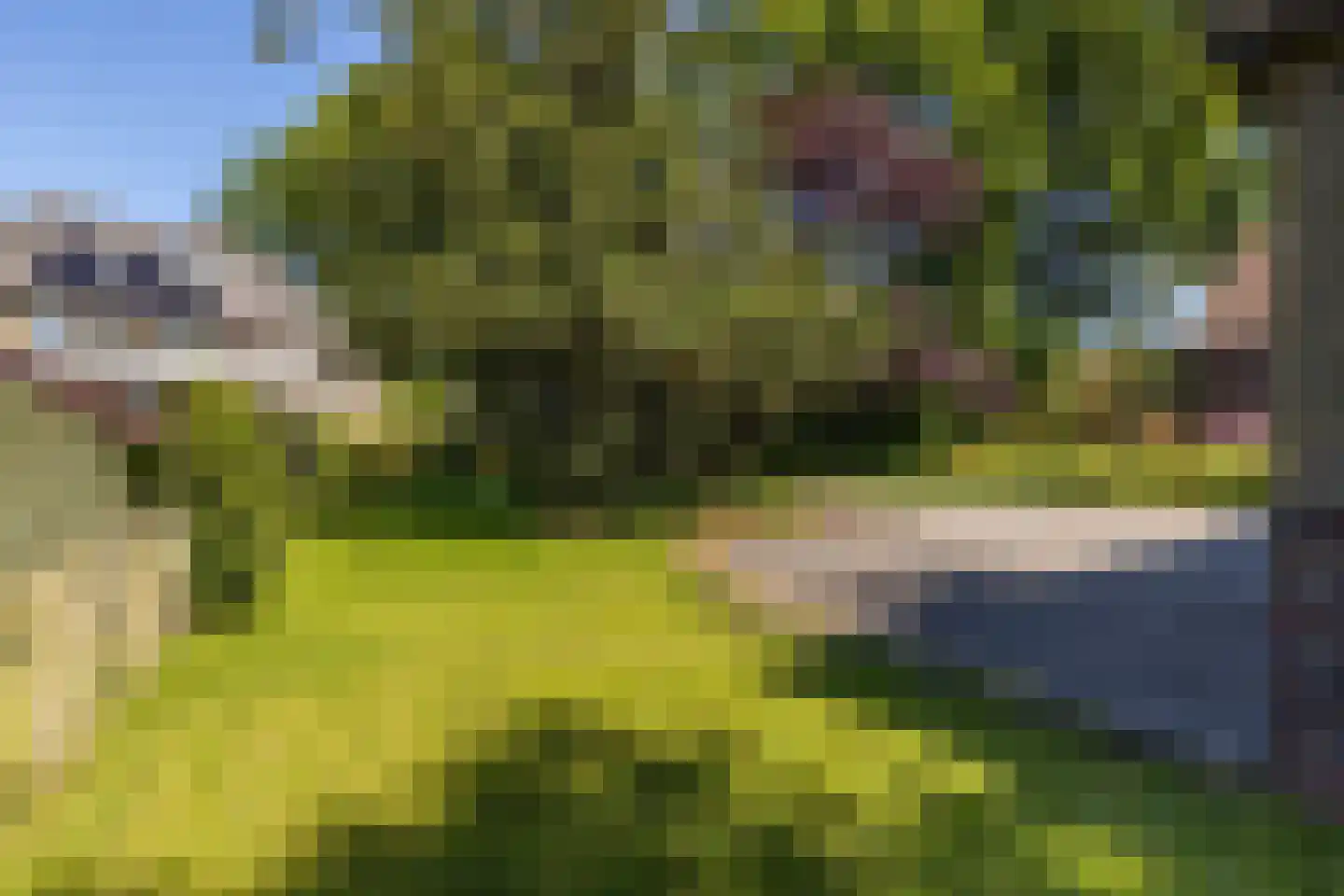 Lokveenweg 31 Haren Gn thumbnail 41
