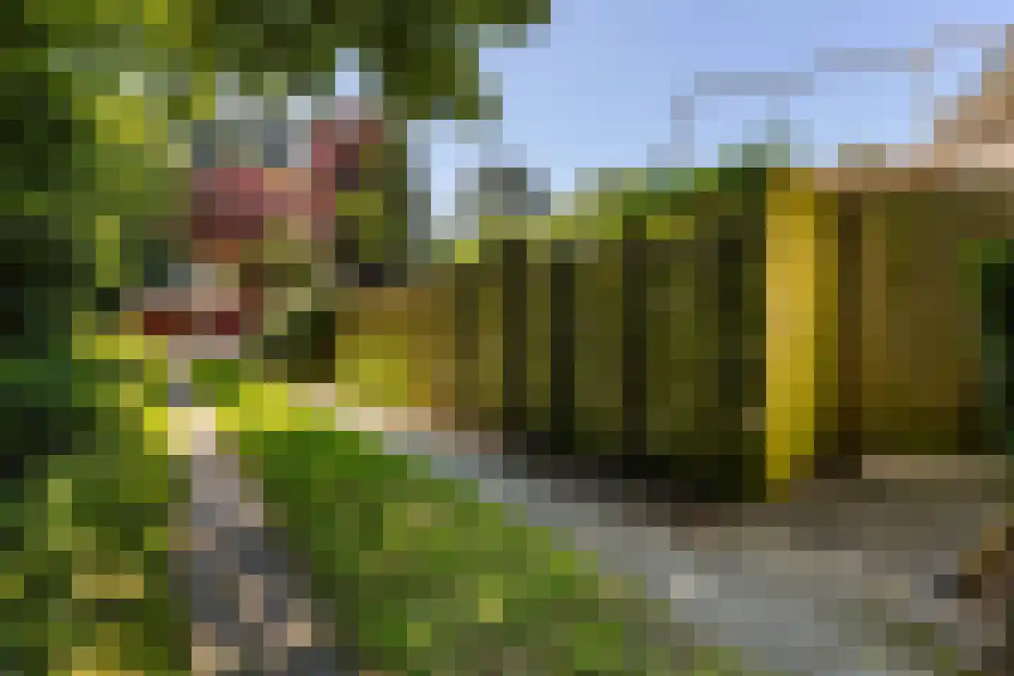 Lokveenweg 31 Haren Gn thumbnail 42