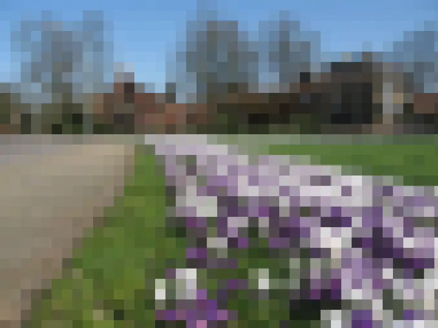 Lokveenweg 31 Haren Gn thumbnail 45