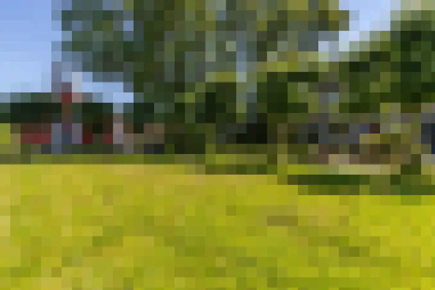 Lokveenweg 31 Haren Gn thumbnail 6