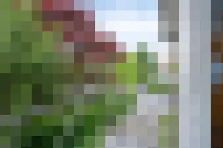 Lokveenweg 43 Haren Gn thumbnail 23