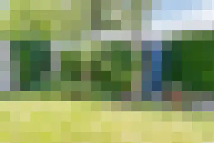 Lokveenweg 43 Haren Gn thumbnail 39
