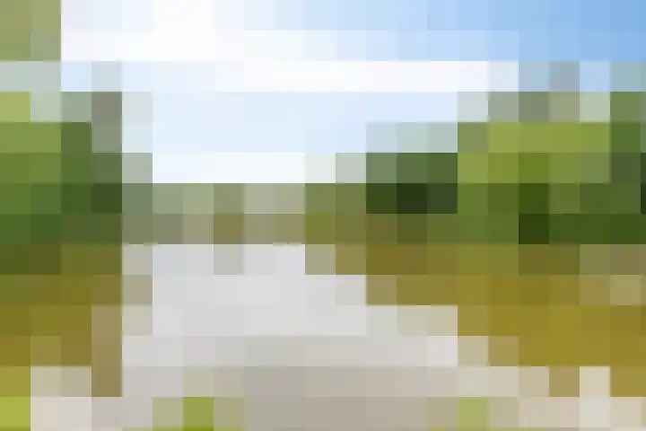 Lokveenweg 43 Haren Gn thumbnail 4