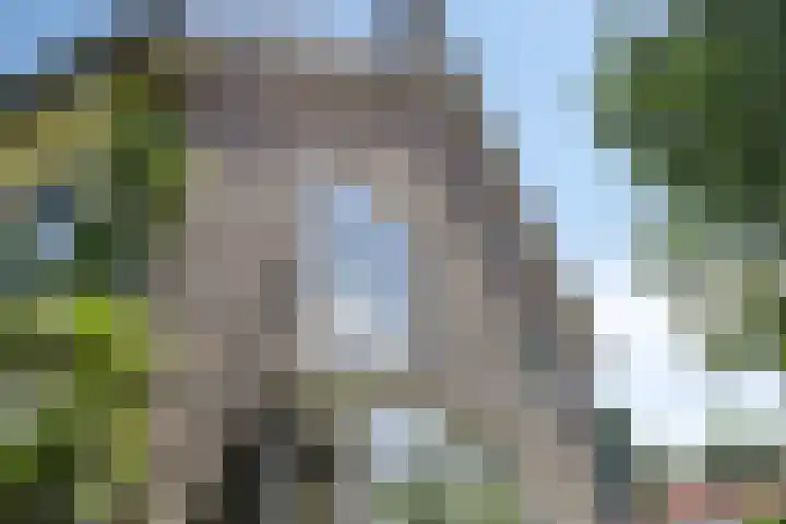 Lokveenweg 43 Haren Gn thumbnail 43