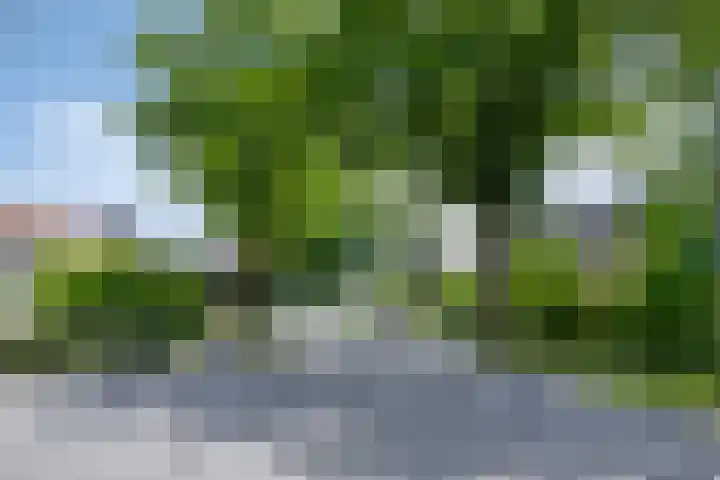 Lokveenweg 43 Haren Gn thumbnail 44