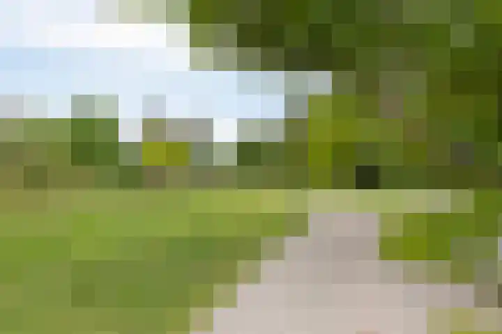 Lokveenweg 43 Haren Gn thumbnail 46