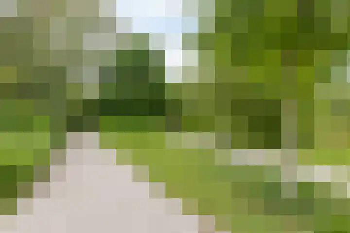 Lokveenweg 43 Haren Gn thumbnail 47