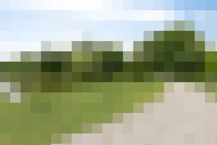 Lokveenweg 43 Haren Gn thumbnail 48