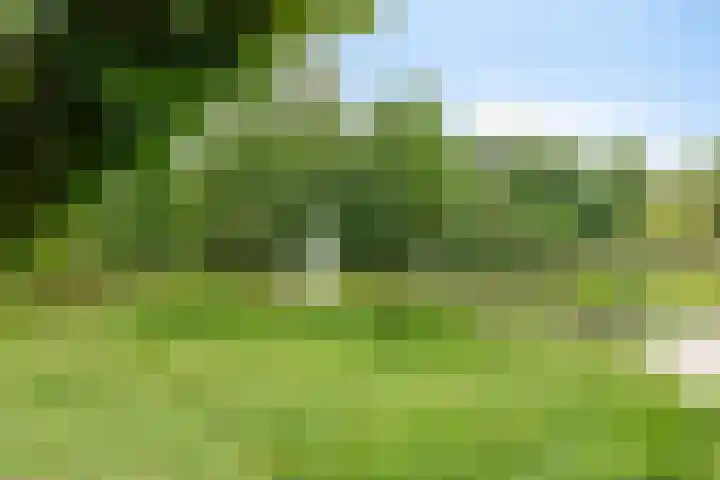 Lokveenweg 43 Haren Gn thumbnail 49