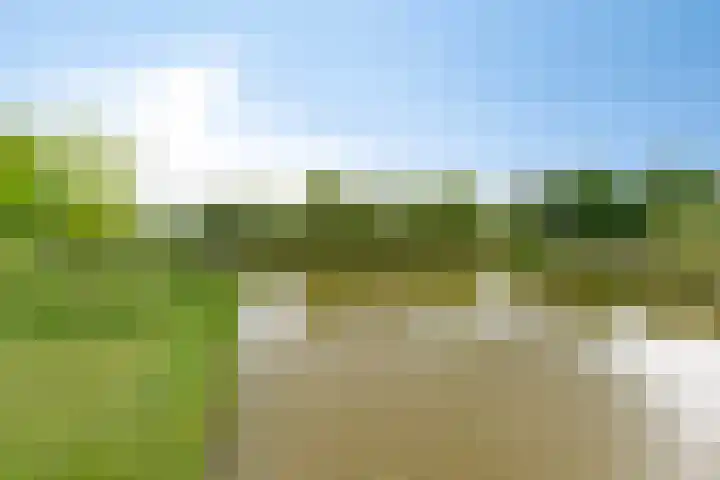 Lokveenweg 43 Haren Gn thumbnail 51