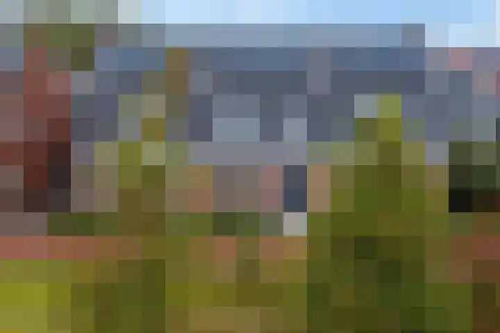 Lolkjeslân 4 in Goutum