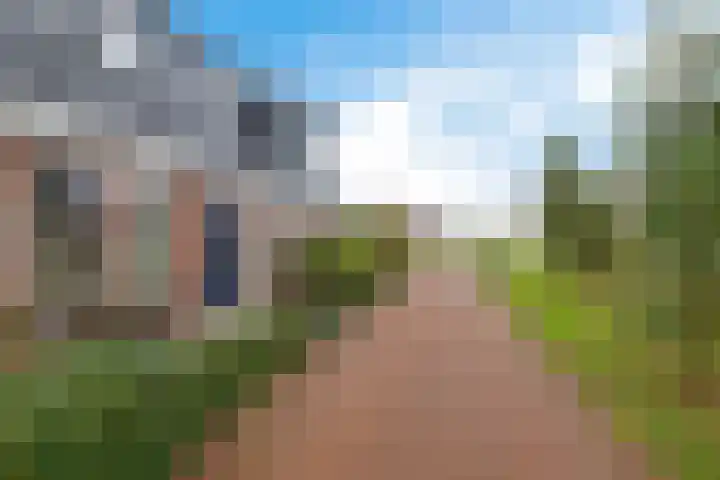 Lolkjeslân 4 Goutum thumbnail 10