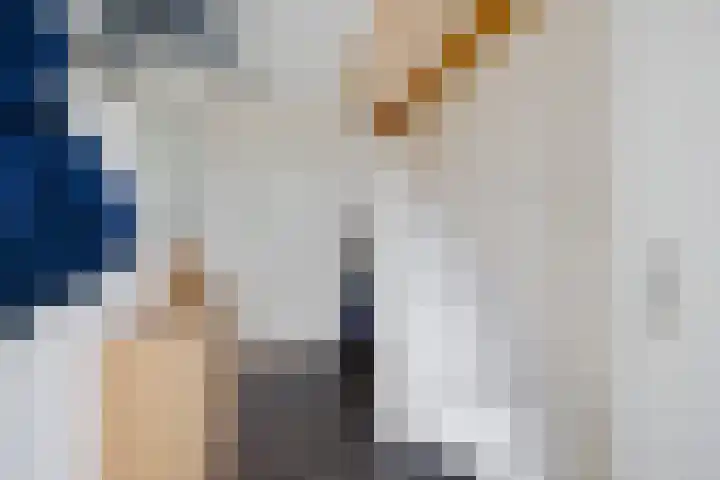 Lolkjeslân 4 Goutum thumbnail 11