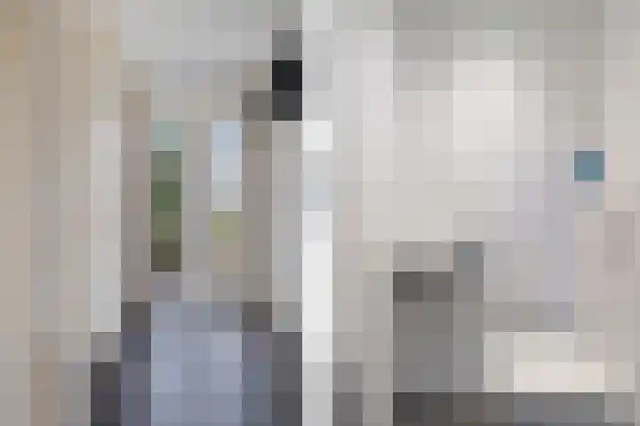 Lolkjeslân 4 Goutum thumbnail 12
