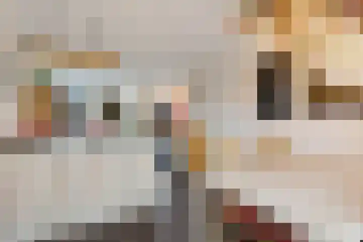 Lolkjeslân 4 Goutum thumbnail 17