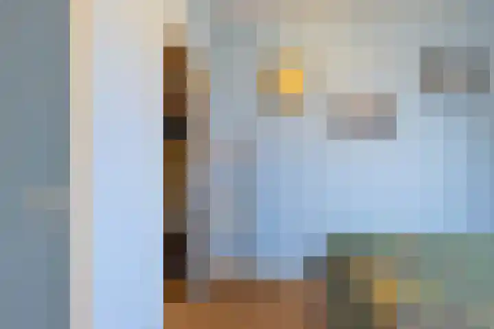 Lolkjeslân 4 Goutum thumbnail 24