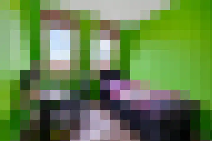 Lolkjeslân 4 Goutum thumbnail 28