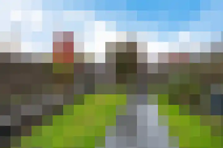 Lolkjeslân 4 Goutum thumbnail 32