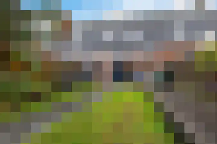 Lolkjeslân 4 Goutum thumbnail 35