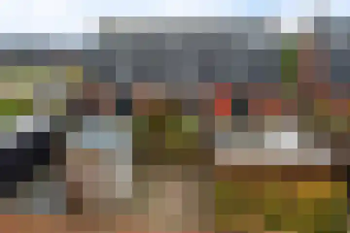 Lolkjeslân 4 Goutum thumbnail 41