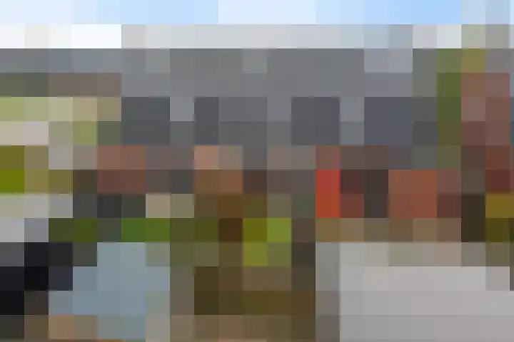 Lolkjeslân 4 Goutum thumbnail 42