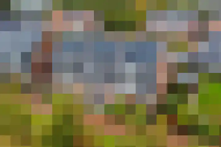 Lolkjeslân 4 Goutum thumbnail 43