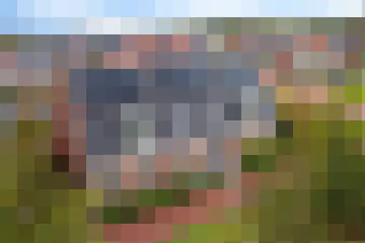 Lolkjeslân 4 Goutum thumbnail 45