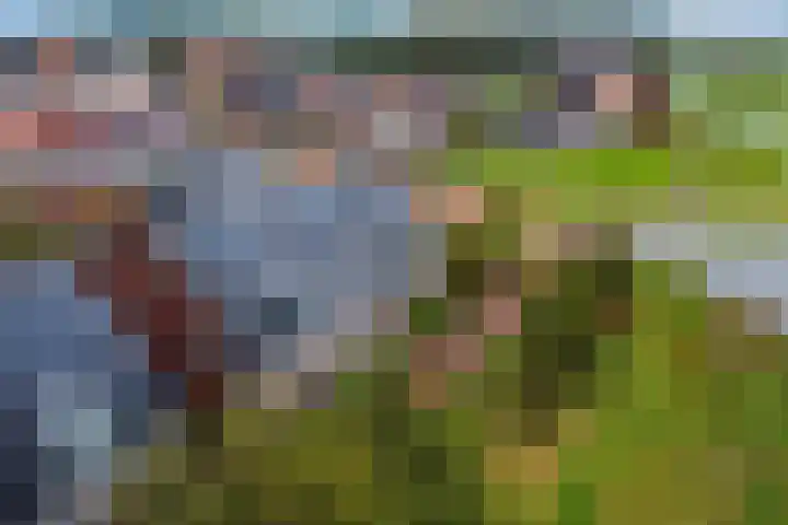 Lolkjeslân 4 Goutum thumbnail 46