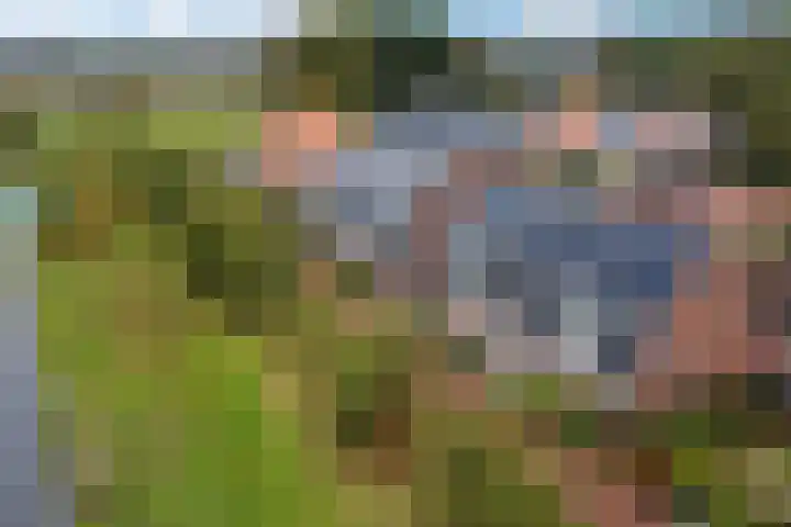Lolkjeslân 4 Goutum thumbnail 47