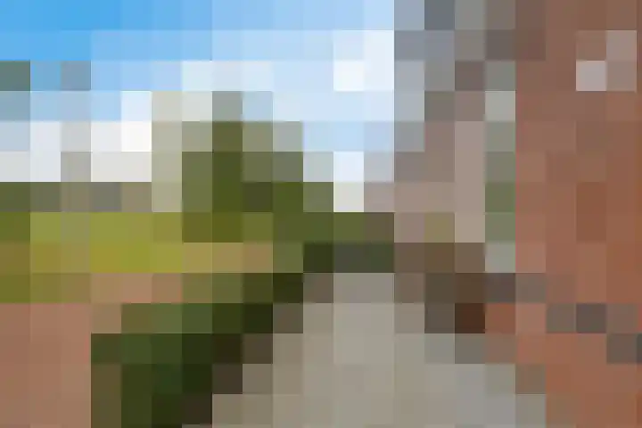Lolkjeslân 4 Goutum thumbnail 6