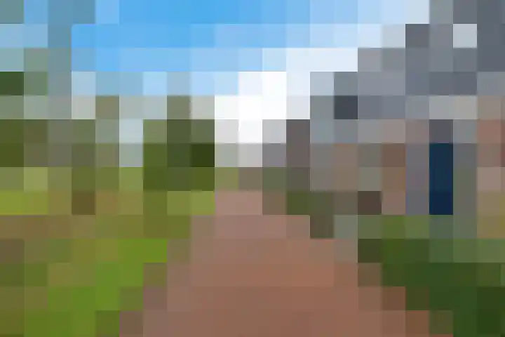 Lolkjeslân 4 Goutum thumbnail 9
