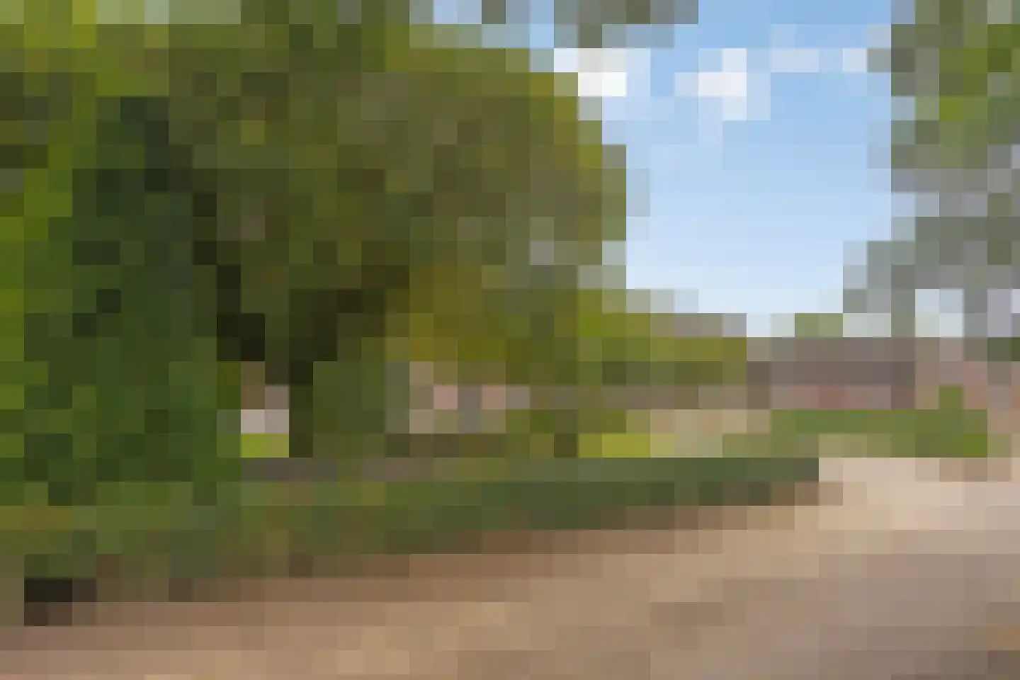 Lollebeekweg 39 Castenray thumbnail 14