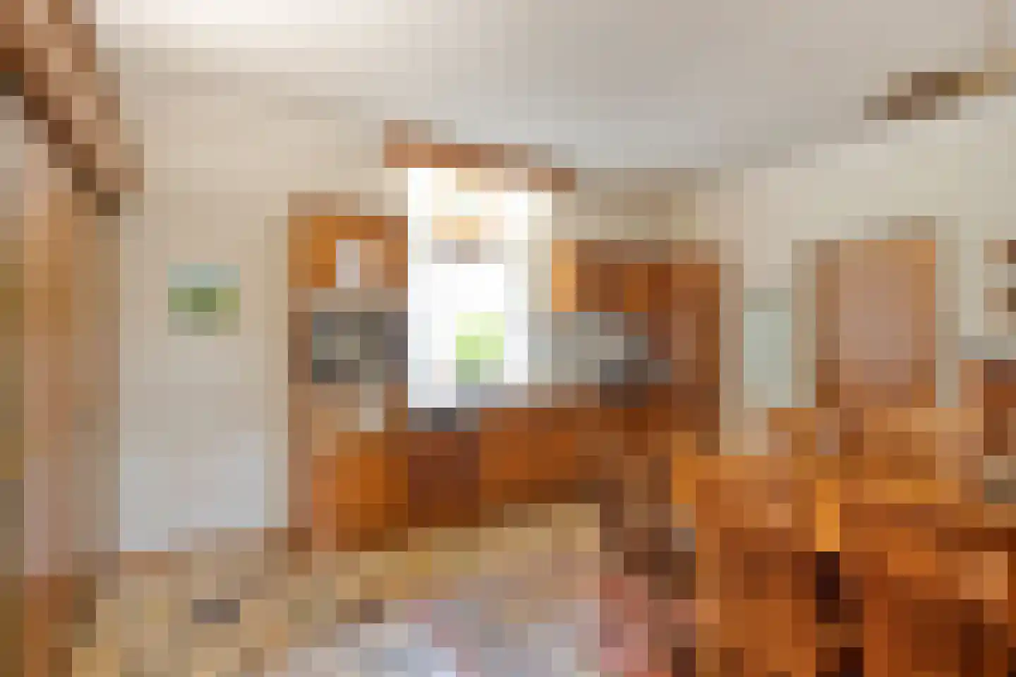 Lollebeekweg 39 Castenray thumbnail 25