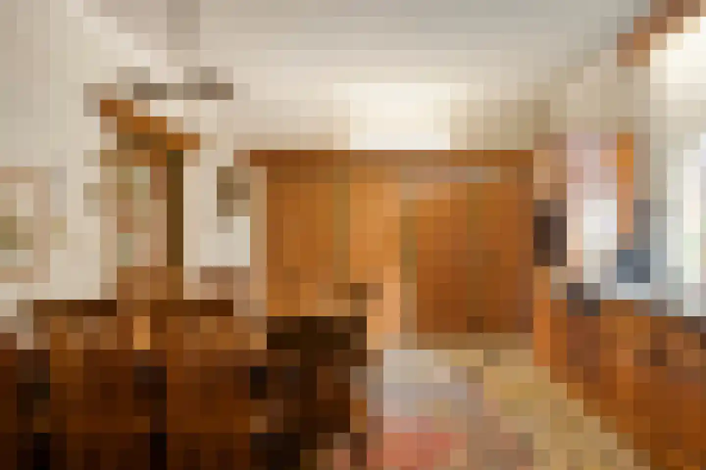 Lollebeekweg 39 Castenray thumbnail 28